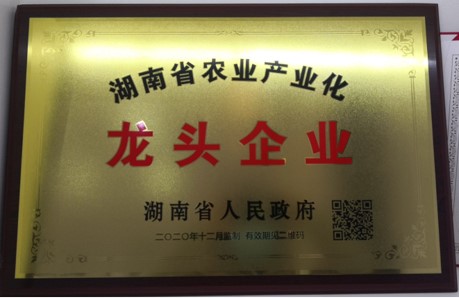张家界千总生态食品有限公司,豆类食品生产加工销售,血豆腐生产加工销售,豆奶生产加工销售