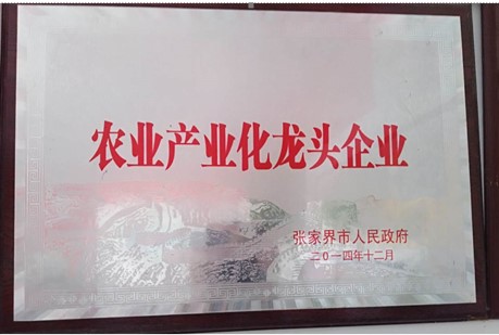张家界千总生态食品有限公司,豆类食品生产加工销售,血豆腐生产加工销售,豆奶生产加工销售